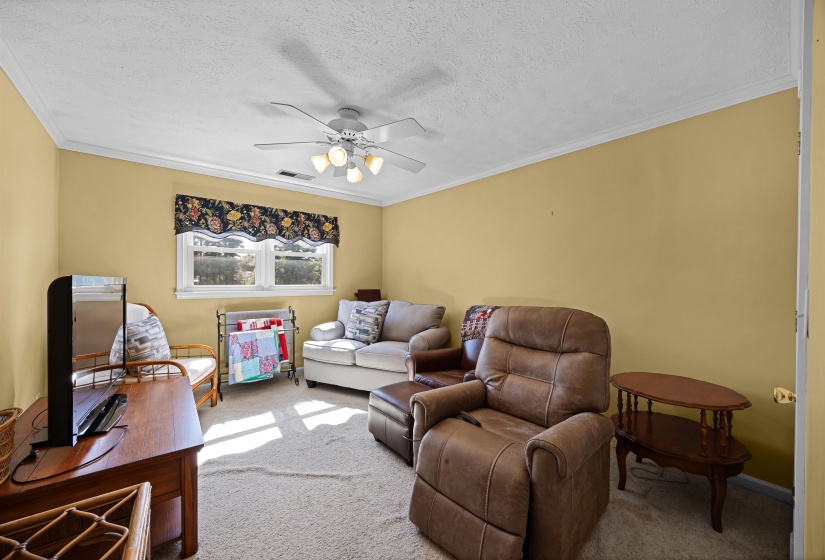 Living area with a textured ceiling, carpet flooring, crown molding, and a ceiling fan