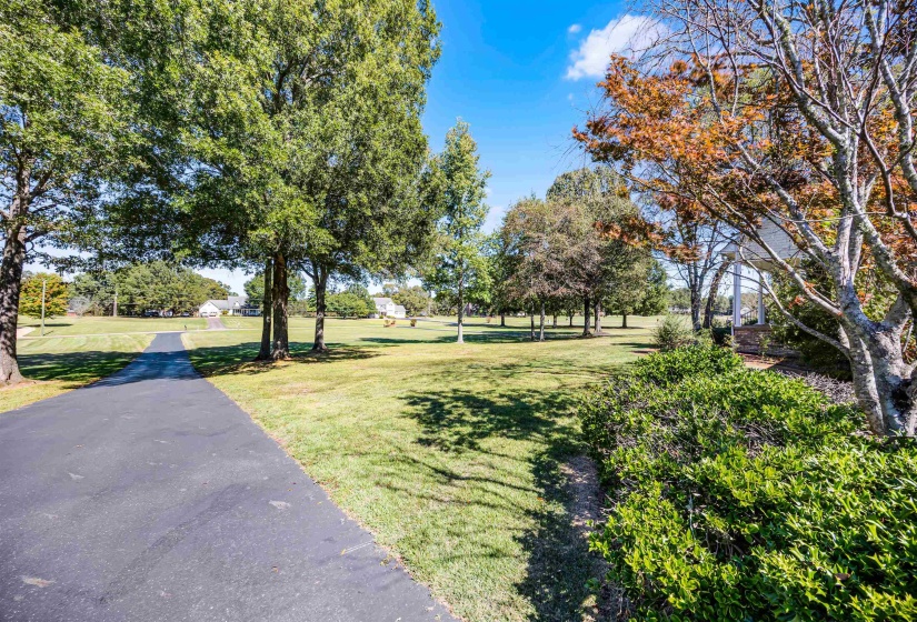 View of green lawn