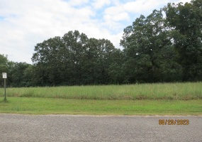 101112 FALCON CV, Middleton, Tennessee 38052, 0 , 0 ,0,Land,For Sale,FALCON,0,10201222 101112 FALCON CV, Middleton, Tennessee 38052, 0 , 0 ,0,Land,For Sale,FALCON,0,10201222