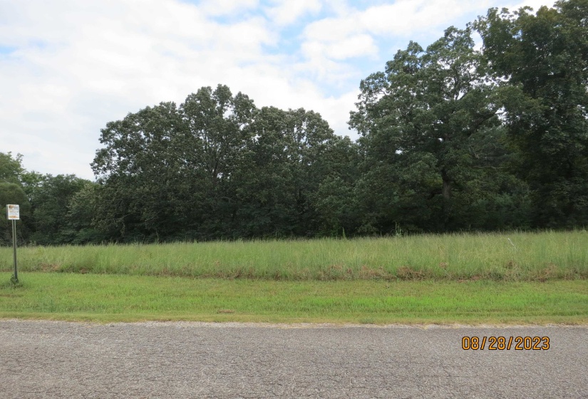 101112 FALCON CV, Middleton, Tennessee 38052, 0 , 0 ,0,Land,For Sale,FALCON,0,10201222