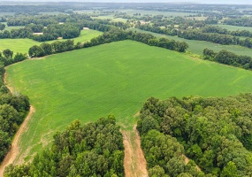 0 BUD EUBANK RD, Stanton, Tennessee 38069, 0 , 0 ,0,Land,For Sale,BUD EUBANK,0,10225901 0 BUD EUBANK RD, Stanton, Tennessee 38069, 0 , 0 ,0,Land,For Sale,BUD EUBANK,0,10225901