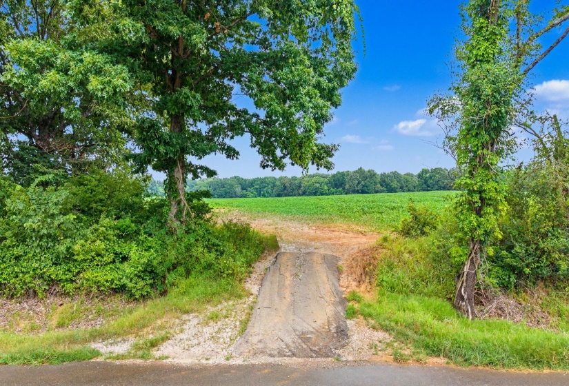 0 BUD EUBANK RD, Stanton, Tennessee 38069, 0 , 0 ,0,Land,For Sale,BUD EUBANK,0,10225901
