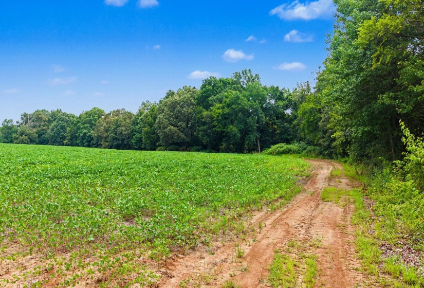 0 BUD EUBANK RD, Stanton, Tennessee 38069, 0 , 0 ,0,Land,For Sale,BUD EUBANK,0,10225901