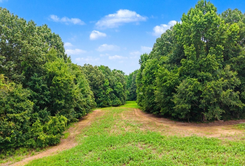 0 BUD EUBANK RD, Stanton, Tennessee 38069, 0 , 0 ,0,Land,For Sale,BUD EUBANK,0,10225901