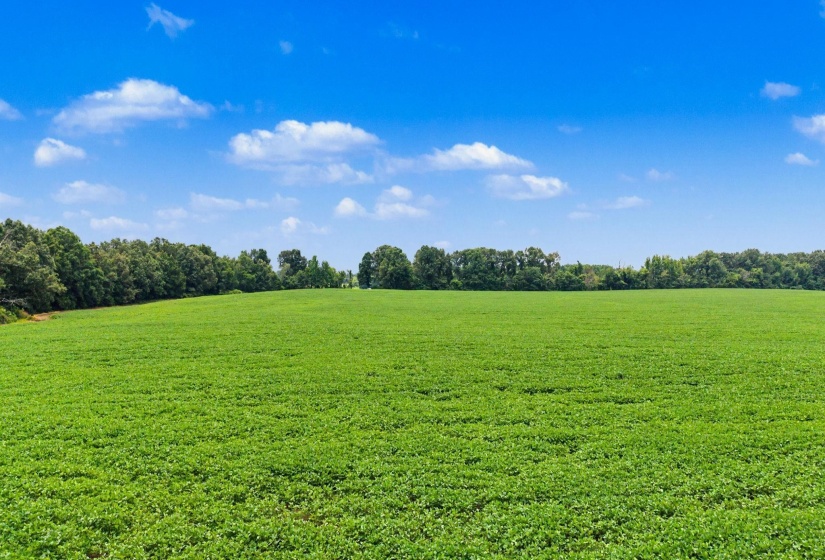 0 BUD EUBANK RD, Stanton, Tennessee 38069, 0 , 0 ,0,Land,For Sale,BUD EUBANK,0,10225901