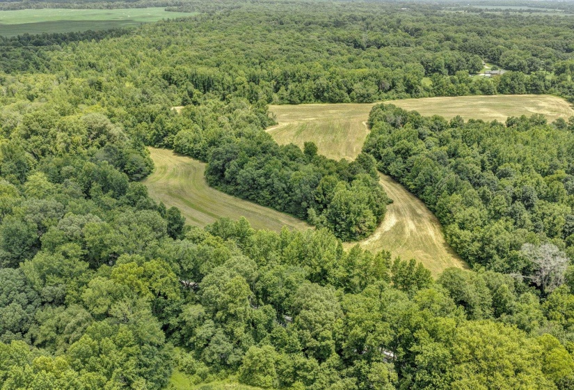 0 CENTERPOINT DR, Gallaway, Tennessee 38049, 0 , 0 ,0,Land,For Sale,CENTERPOINT,0,10225961