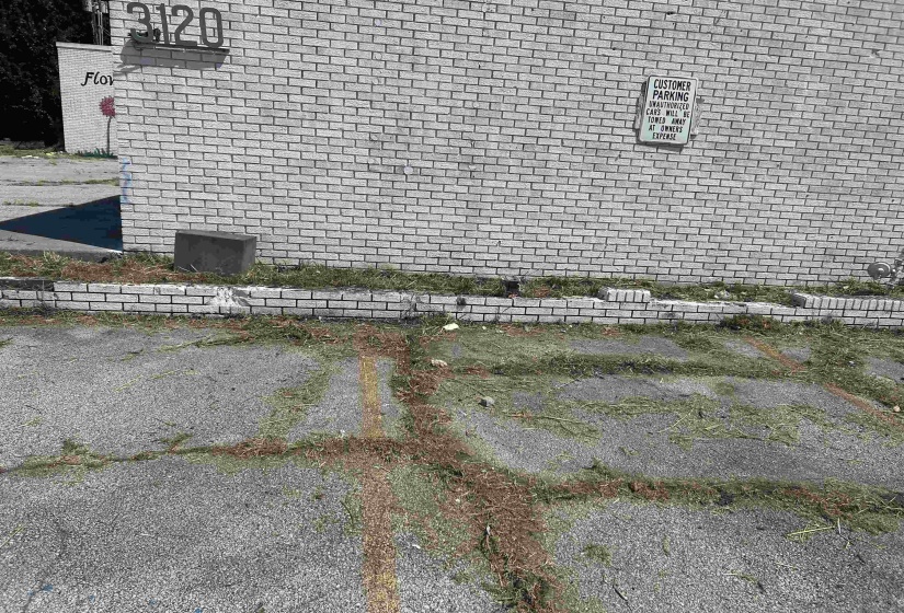 3120 SUMMER AVE, Memphis, Tennessee 38112, 0 , 0 ,0,Commercial/industrial,For Sale,SUMMER,0,10228503