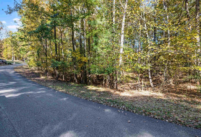 396, 397, 398 WINDWOOD DR, Counce, Tennessee 38326, 0 , 0 ,0,Land,For Sale,WINDWOOD,0,10226041