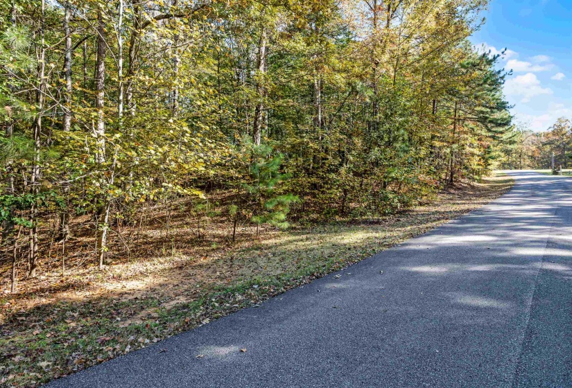 396, 397, 398 WINDWOOD DR, Counce, Tennessee 38326, 0 , 0 ,0,Land,For Sale,WINDWOOD,0,10226041