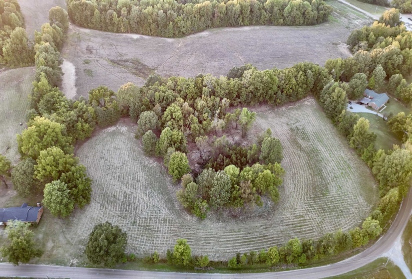 0 LUCY KELLY RD, Brighton, Tennessee 38011, 0 , 0 ,0,Land,For Sale,LUCY KELLY,0,10207893