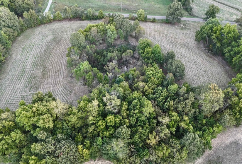 0 LUCY KELLY RD, Brighton, Tennessee 38011, 0 , 0 ,0,Land,For Sale,LUCY KELLY,0,10207893