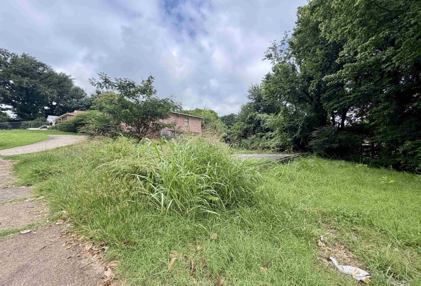 142 DAVANT AVE, Memphis, Tennessee 38109, 0 , 0 ,0,Land,For Sale,DAVANT,0,10224353