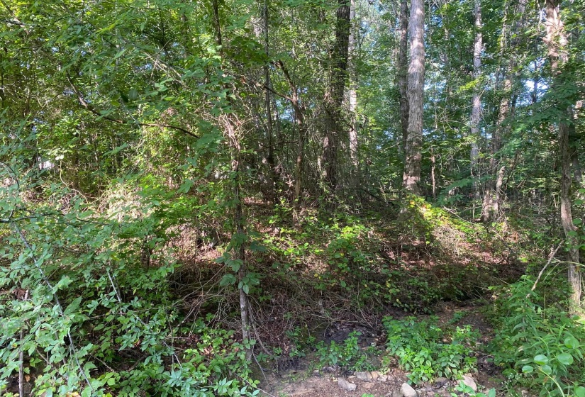 COUNTRY WOODS DR, Selmer, Tennessee 38375, 0 , 0 ,0,Land,For Sale,COUNTRY WOODS,0,10226535