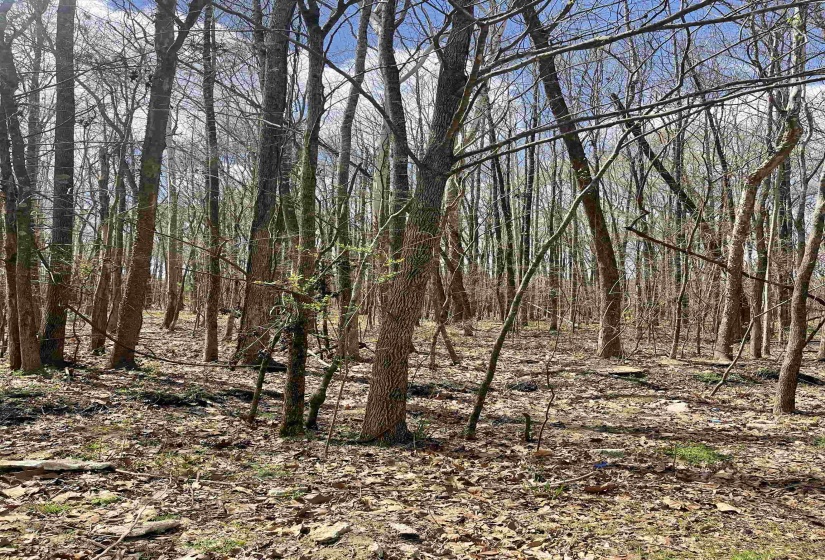 555 WOODLAND TRACE LN, Cordova, Tennessee 38018, 0 , 0 ,0,Land,For Sale,WOODLAND TRACE,0,10168199