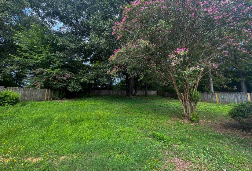 347 DOVE VALLEY RD, Collierville, Tennessee 38017, 3 Bedroom Bedrooms, 6 Room Rooms,2 BathroomBathrooms,Rental Properties,For Sale,DOVE VALLEY,0,10226523