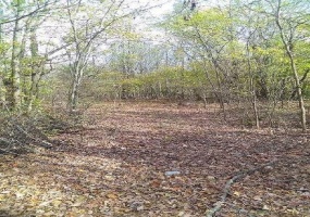 PAYTON RD, Millington, Tennessee 38053, 0 , 0 ,0,Land,For Sale,PAYTON,0,10226679 PAYTON RD, Millington, Tennessee 38053, 0 , 0 ,0,Land,For Sale,PAYTON,0,10226679