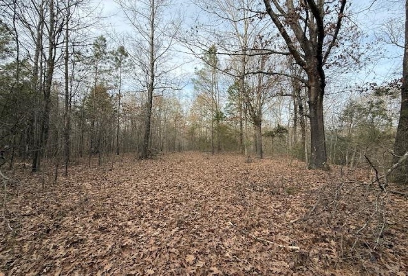 261 AC. MACON RD, Unicorp/Eads, Tennessee 38028, 0 , 0 ,0,Land,For Sale,MACON,0,10226684
