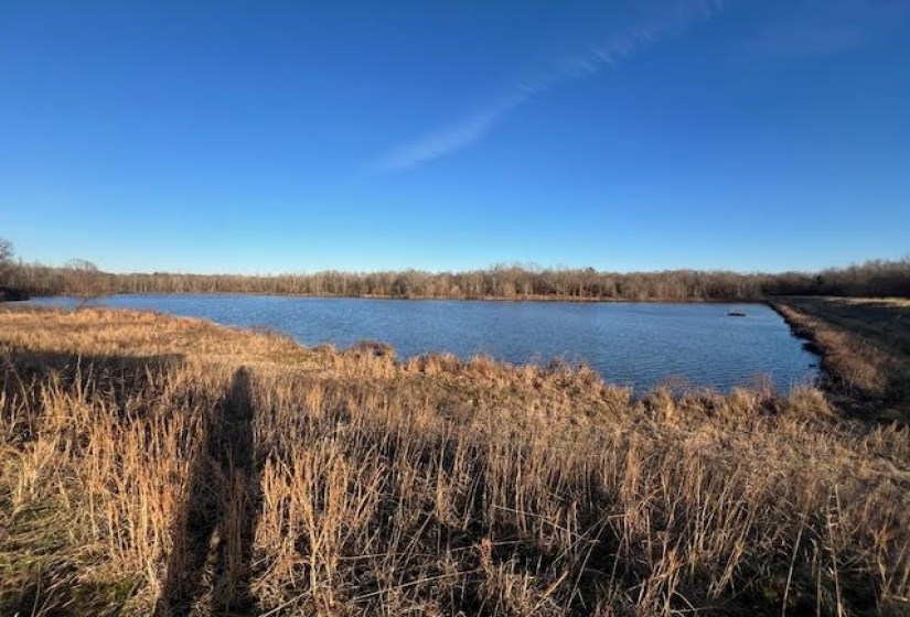 261 AC. MACON RD, Unicorp/Eads, Tennessee 38028, 0 , 0 ,0,Land,For Sale,MACON,0,10226684