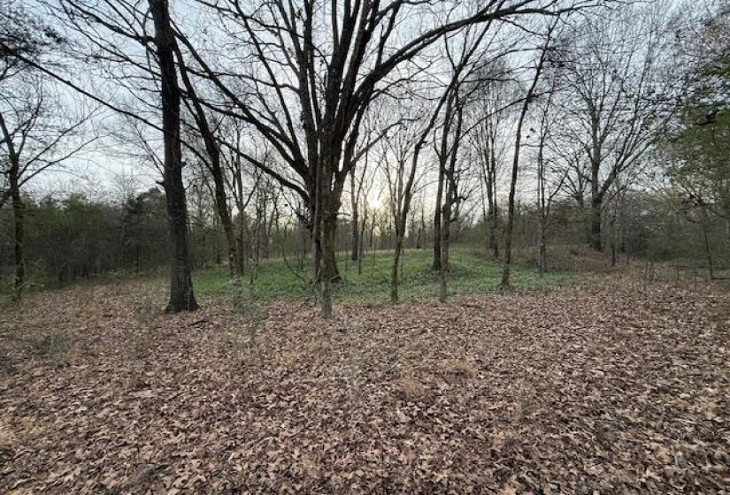 261 AC. MACON RD, Unicorp/Eads, Tennessee 38028, 0 , 0 ,0,Land,For Sale,MACON,0,10226684