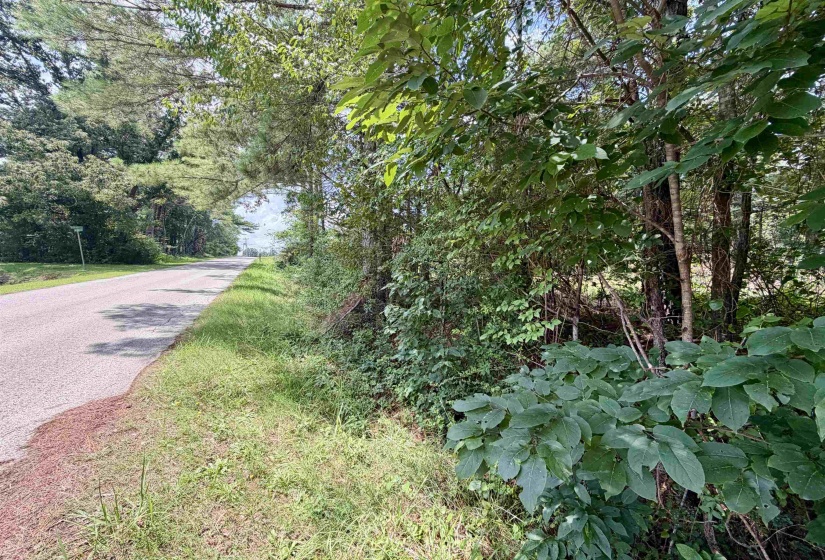 0 FARBER DR, Adamsville, Tennessee 38310-0000, 0 , 0 ,0,Land,For Sale,FARBER,0,10226879