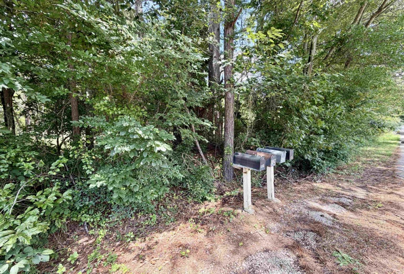 0 FARBER DR, Adamsville, Tennessee 38310-0000, 0 , 0 ,0,Land,For Sale,FARBER,0,10226879