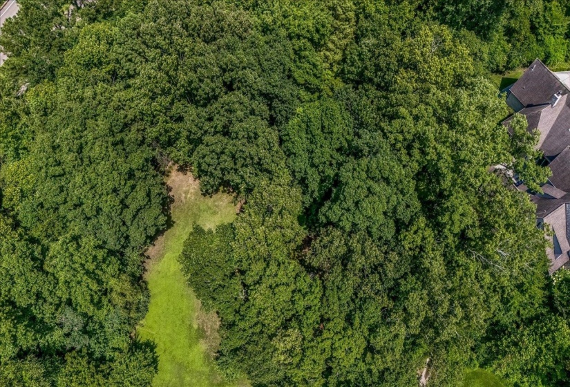 1082 RIVER GREEN CV, Memphis, Tennessee 38120, 0 , 0 ,0,Land,For Sale,RIVER GREEN,0,10226760