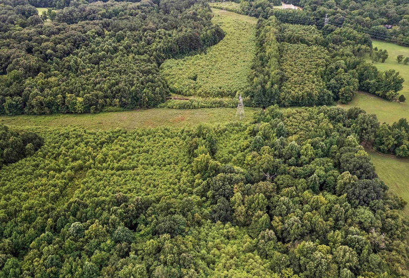 0 MONTEREY RD, Eads, Tennessee 38028, 0 , 0 ,0,Land,For Sale,MONTEREY,0,10226990