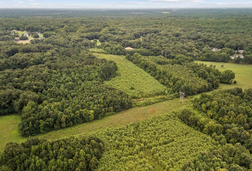 0 MONTEREY RD, Eads, Tennessee 38028, 0 , 0 ,0,Land,For Sale,MONTEREY,0,10226990