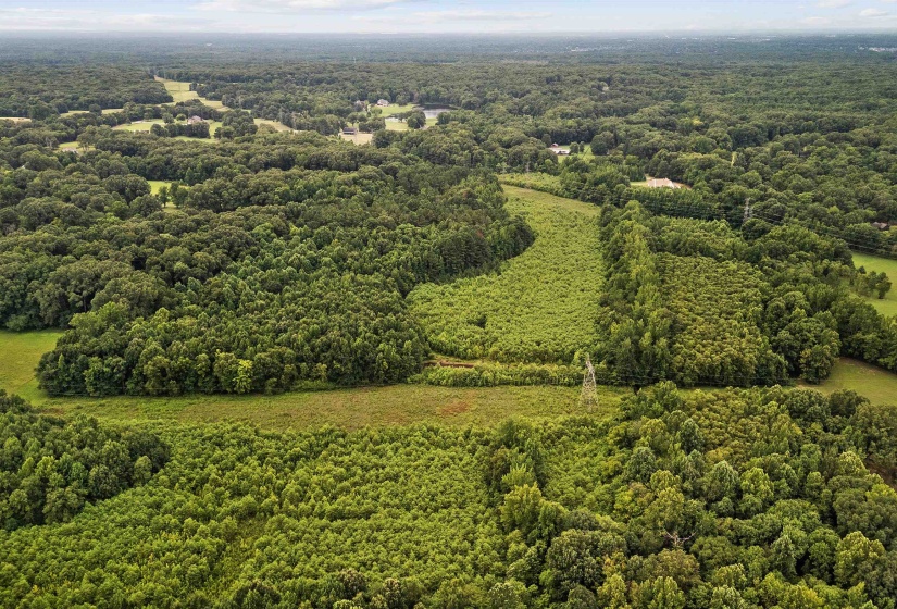 0 MONTEREY RD, Eads, Tennessee 38028, 0 , 0 ,0,Land,For Sale,MONTEREY,0,10226990