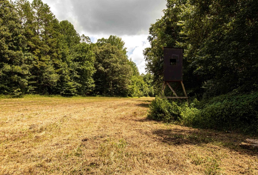 00 100 HWY, Toone, Tennessee 38381, 0 , 0 ,0,Land,For Sale,100,0,10227004
