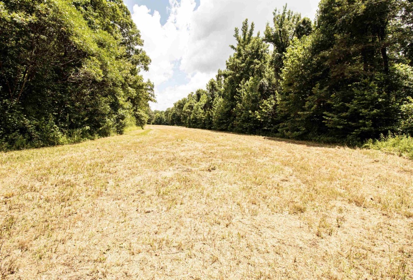 00 100 HWY, Toone, Tennessee 38381, 0 , 0 ,0,Land,For Sale,100,0,10227004