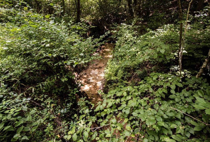 00 100 HWY, Toone, Tennessee 38381, 0 , 0 ,0,Land,For Sale,100,0,10227004