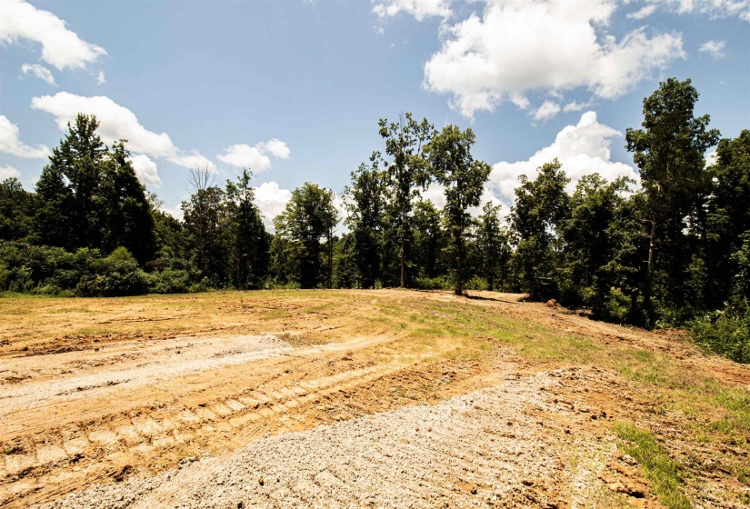 00 100 HWY, Toone, Tennessee 38381, 0 , 0 ,0,Land,For Sale,100,0,10227004