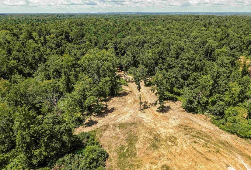 00 100 HWY, Toone, Tennessee 38381, 0 , 0 ,0,Land,For Sale,100,0,10227004