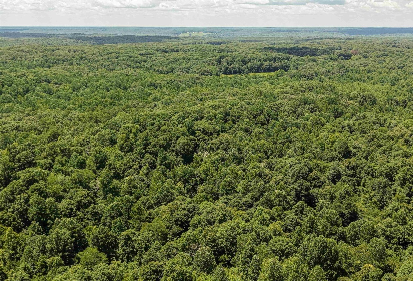 00 100 HWY, Toone, Tennessee 38381, 0 , 0 ,0,Land,For Sale,100,0,10227004