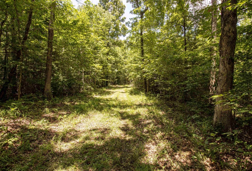 00 100 HWY, Toone, Tennessee 38381, 0 , 0 ,0,Land,For Sale,100,0,10227004