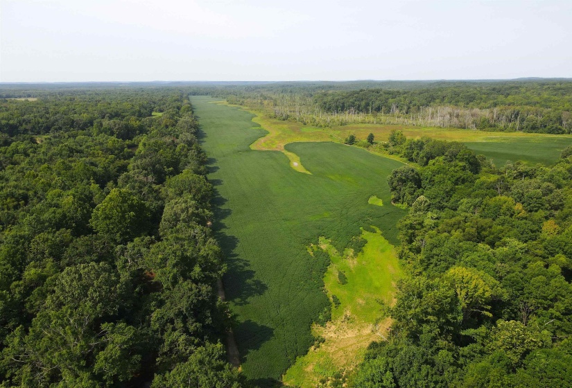 0 HWY 57 HWY, Ramer, Tennessee 38367, 0 , 0 ,0,Land,For Sale,HWY 57,0,10227139