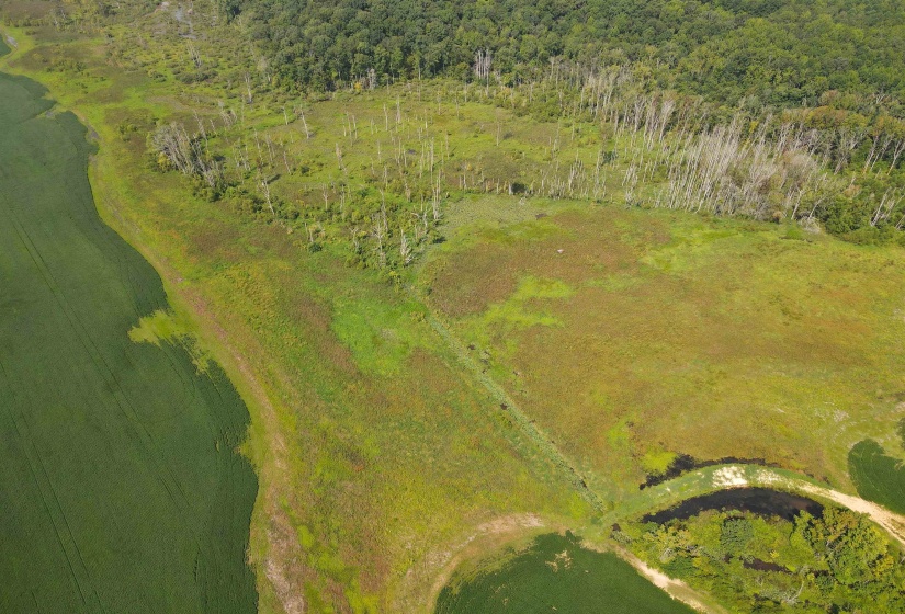 0 HWY 57 HWY, Ramer, Tennessee 38367, 0 , 0 ,0,Land,For Sale,HWY 57,0,10227139