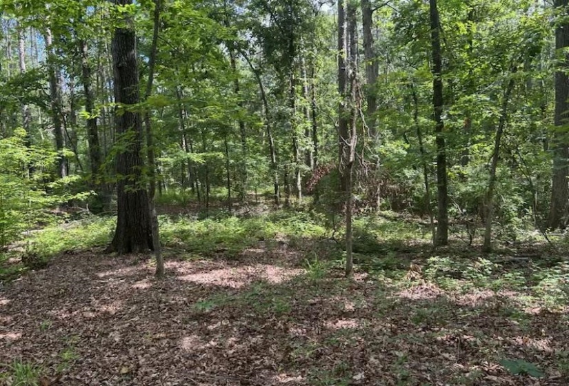 685 CHAD LN, Pickwick Lake, Tennessee 38365, 0 , 0 ,0,Land,For Sale,CHAD,0,10227285