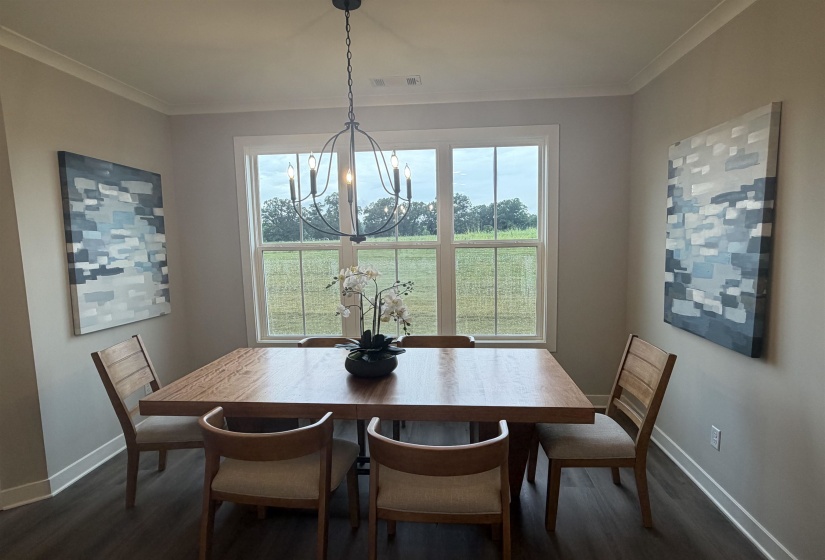 5287 BUTTERCUP LN, Lakeland, Tennessee 38002, 4 Bedroom Bedrooms, 10 Room Rooms,3.1 BathroomBathrooms,Residential,For Sale,BUTTERCUP,0,10204524