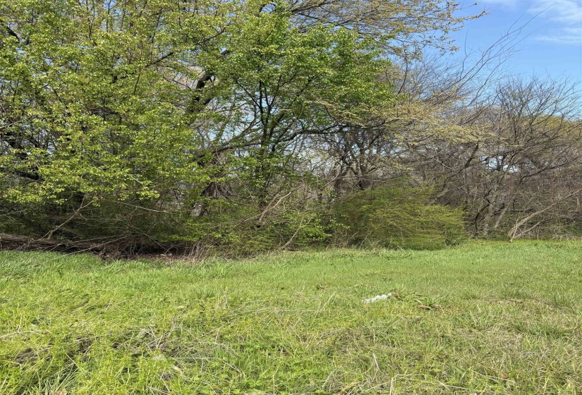 126 BROOKS RD, Memphis, Tennessee 38109, 0 , 0 ,0,Land,For Sale,BROOKS,0,10221495