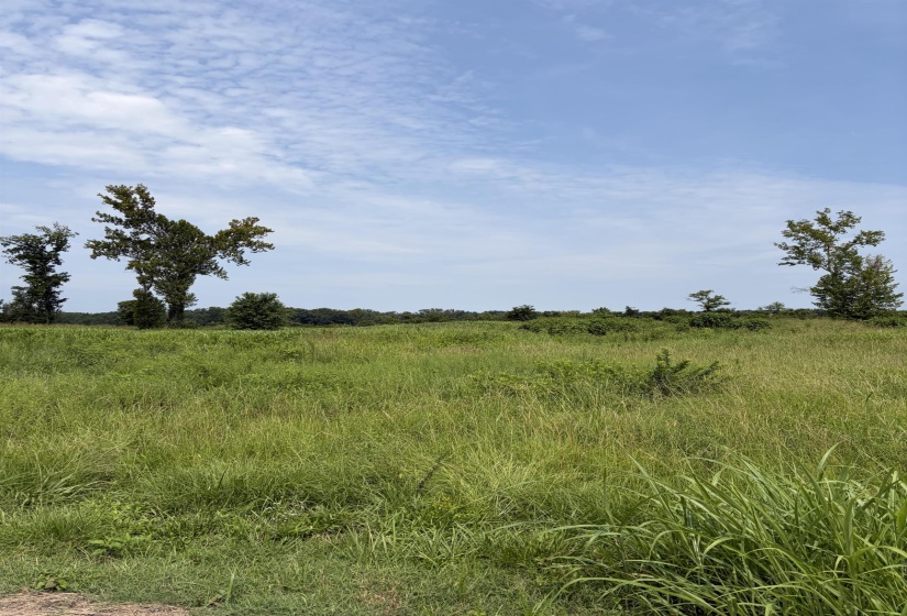 64 CRAVENS RD, Savannah, Tennessee 38372, 0 , 0 ,0,Land,For Sale,CRAVENS,0,10227402