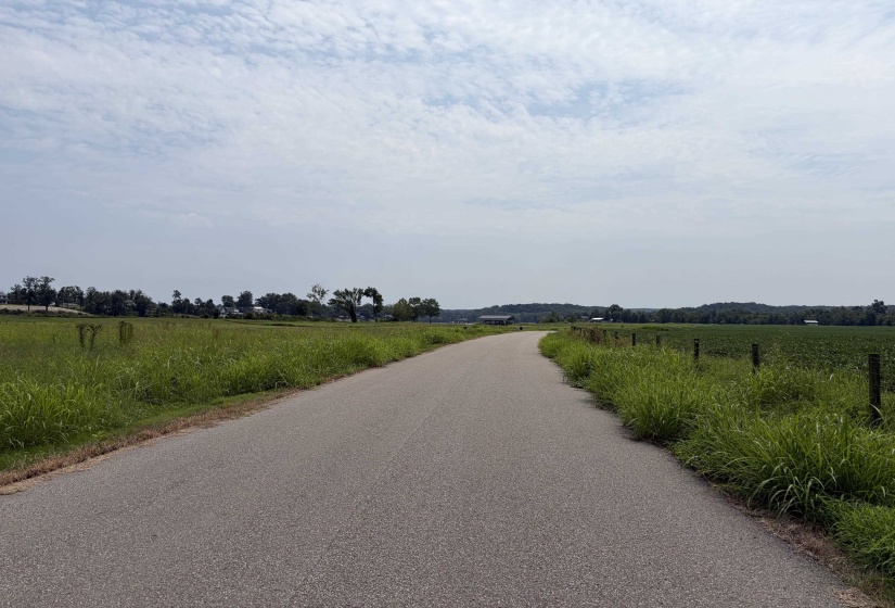 64 CRAVENS RD, Savannah, Tennessee 38372, 0 , 0 ,0,Land,For Sale,CRAVENS,0,10227402