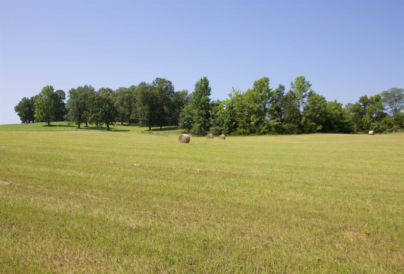 2195 SLAYDEN RD, Holly Springs, Mississippi 38635, 3 Bedroom Bedrooms, 7 Room Rooms,2 BathroomBathrooms,Residential,For Sale,SLAYDEN,0,10226680