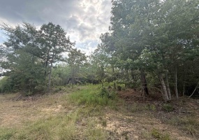 ROSE CREEK RD, Selmer, Tennessee 38375, 0 , 0 ,0,Land,For Sale,ROSE CREEK,0,10227852