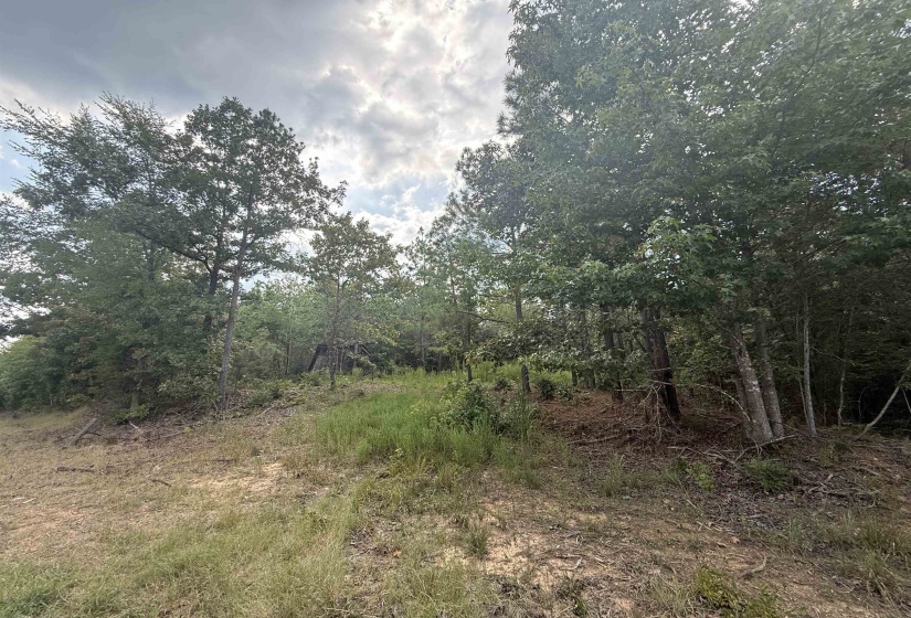 ROSE CREEK RD, Selmer, Tennessee 38375, 0 , 0 ,0,Land,For Sale,ROSE CREEK,0,10227852