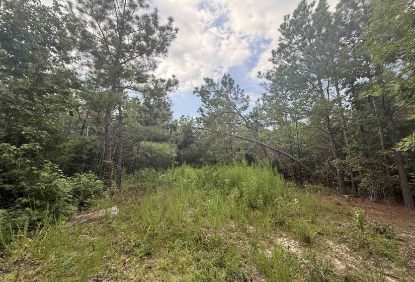 ROSE CREEK RD, Selmer, Tennessee 38375, 0 , 0 ,0,Land,For Sale,ROSE CREEK,0,10227852
