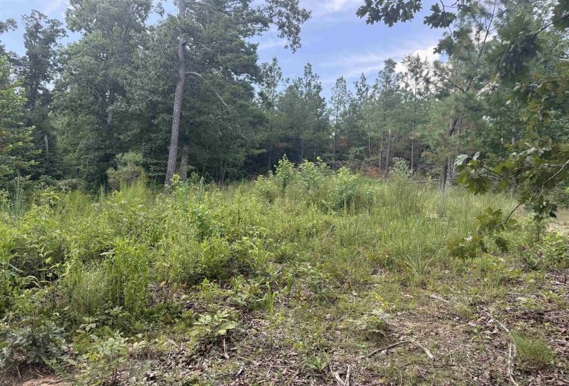 ROSE CREEK RD, Selmer, Tennessee 38375, 0 , 0 ,0,Land,For Sale,ROSE CREEK,0,10227852