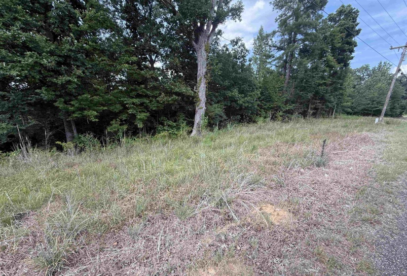 ROSE CREEK RD, Selmer, Tennessee 38375, 0 , 0 ,0,Land,For Sale,ROSE CREEK,0,10227852