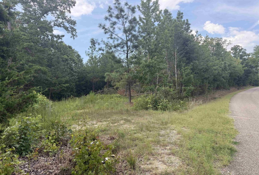 ROSE CREEK RD, Selmer, Tennessee 38375, 0 , 0 ,0,Land,For Sale,ROSE CREEK,0,10227852